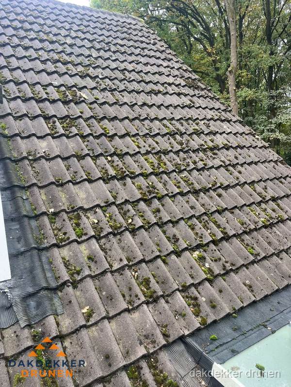 Verweerd pannendak met mosgroei dat renovatie nodig heeft in Drunen