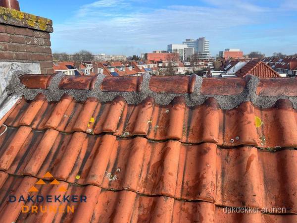 Pannendak met nokvorst en schoorsteen, dakrenovatie in Drunen